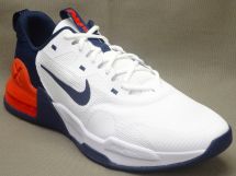 ナイキ AIR MAX ALPHA TRAINER 5 DM0829-102