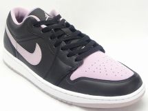 ナイキ AIR JORDAN 1 LOW SE DV1309-051