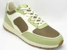 CLEA クレイ JOSHUA CACTUS LA05 GR/BR