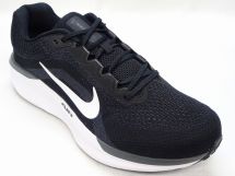 ナイキ AIR WINFLO 11 FJ9509-001