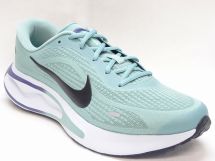 ナイキ JOURNEY RUN FN0228-010