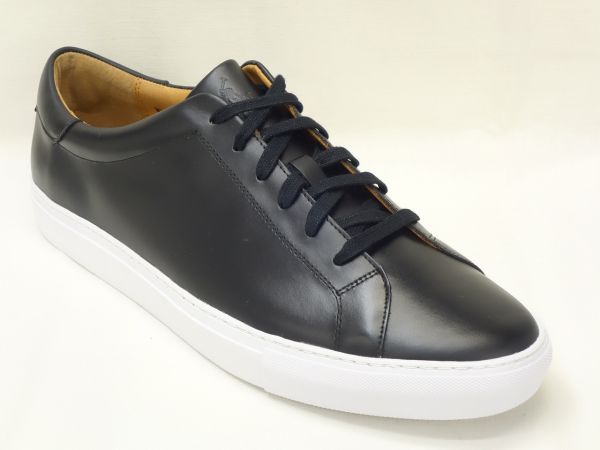 POLO RALPH LAUREN RD08 【Ｄ】 BL