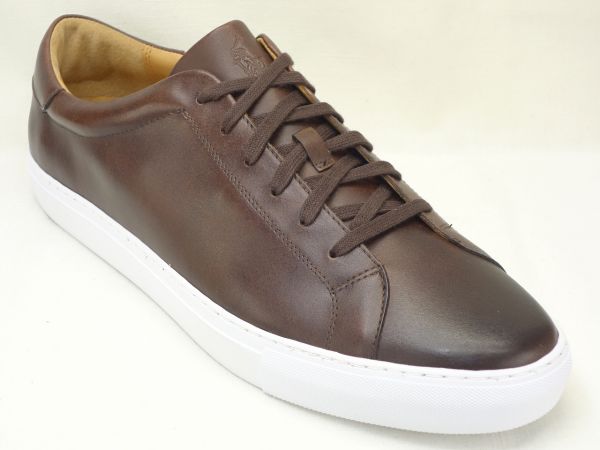 POLO RALPH LAUREN RD08 【D】 BR