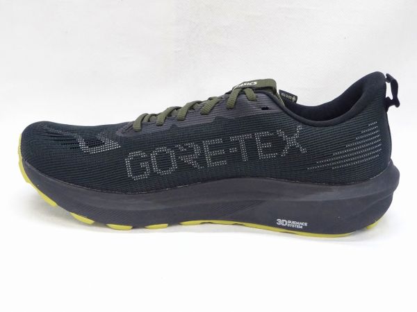アシックス GT-1000 14 GTX 1011C078-001