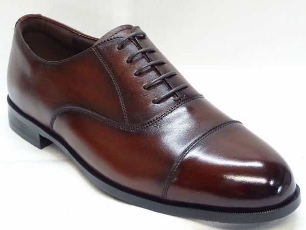 CHRISTIAN CARANO N501 【5E】 BR