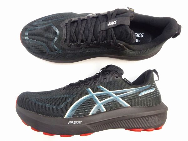 アシックス GT-1000 14 GTX 1011C078-003