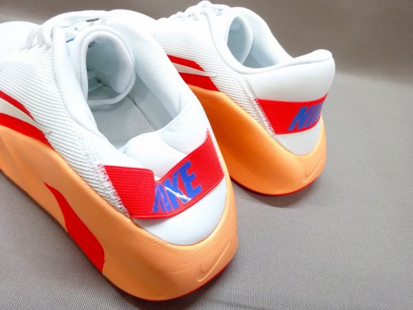 ナイキ フレックストレイン HV9972-103