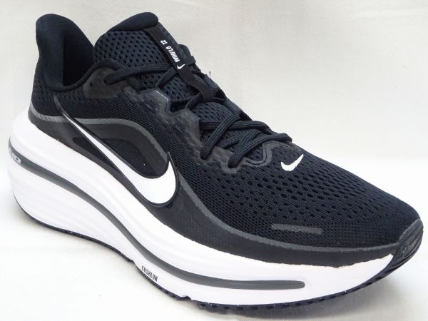 ナイキ AIR WINFLO 12（エアウィンフロ-12）  HV9272-002