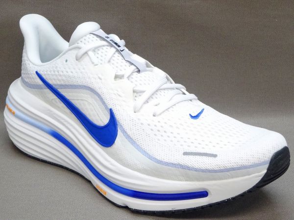 ナイキ AIR WINFLO 12(エアウィンフロ-12) HV9272-100