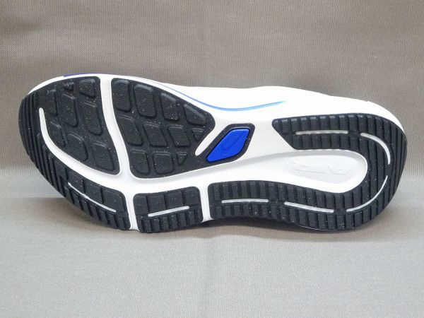 ナイキ AIR WINFLO 12(エアウィンフロ-12) HV9272-100