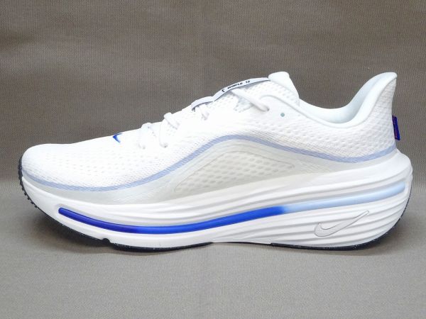 ナイキ AIR WINFLO 12(エアウィンフロ-12) HV9272-100