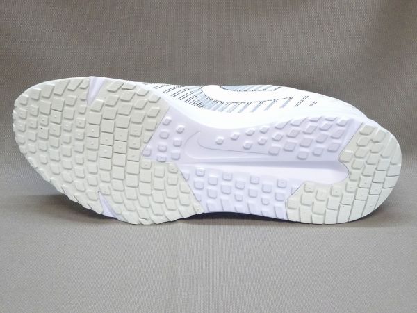 ナイキ RUN DEFY HM9594-122