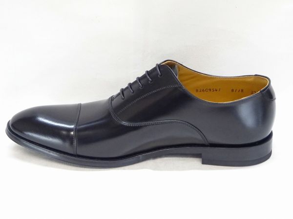 REGAL 811R 【EE】 BL