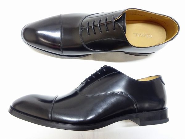REGAL 811R 【EE】 BL