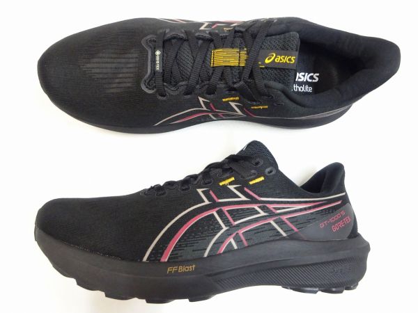 アシックス GT-1000 15 GTX 1011C233-001