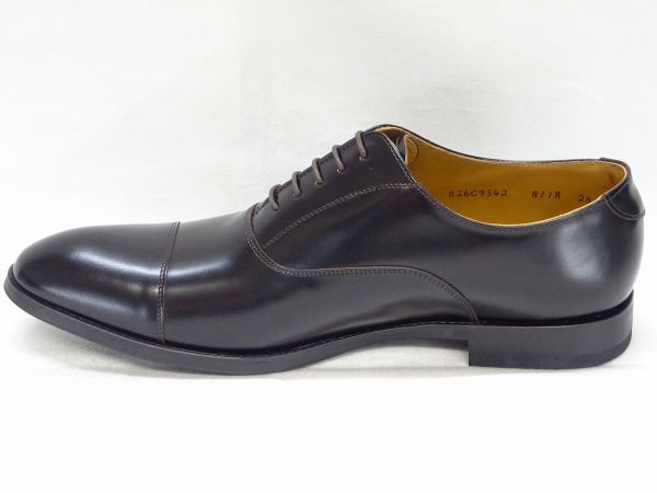 REGAL 811R 【EE】 DBR