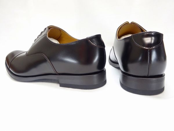 REGAL 811R 【EE】 DBR