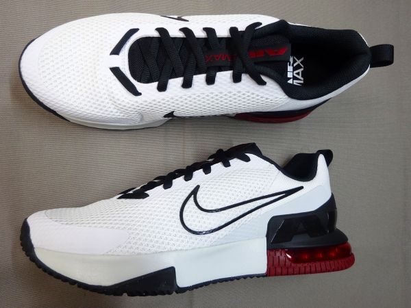 ナイキ AIR MAX ALPHA TRAINER 6 FQ1833-116